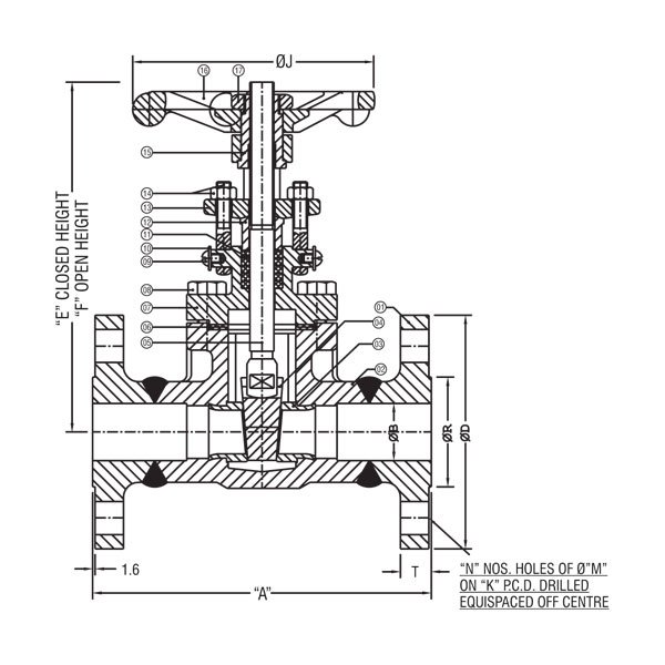 Gate Valve (Flange x Flange)